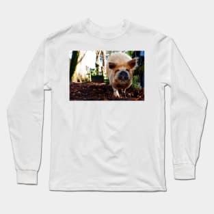 New Zealand Kunekune Pig Long Sleeve T-Shirt